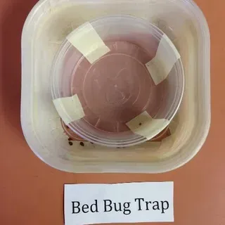 thumbnail for publication: How to Make a Bed Bug Interceptor Trap out of Common Household Items